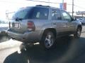 2007 Graystone Metallic Chevrolet TrailBlazer LT 4x4  photo #4