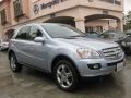 Alpine Rain Metallic - ML 350 4Matic Photo No. 1