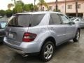 Alpine Rain Metallic - ML 350 4Matic Photo No. 2