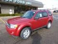 2011 Sangria Red Metallic Ford Escape XLT V6 4WD  photo #8