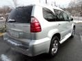 Titanium Silver Metallic - GX 470 Photo No. 8