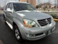 Titanium Silver Metallic - GX 470 Photo No. 9