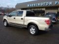 2010 Pueblo Gold Metallic Ford F150 XLT SuperCrew 4x4  photo #2