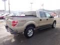 2010 Pueblo Gold Metallic Ford F150 XLT SuperCrew 4x4  photo #4