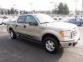 2010 Pueblo Gold Metallic Ford F150 XLT SuperCrew 4x4  photo #6