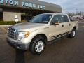 2010 Pueblo Gold Metallic Ford F150 XLT SuperCrew 4x4  photo #8
