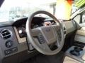 2010 Pueblo Gold Metallic Ford F150 XLT SuperCrew 4x4  photo #11