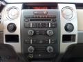 2010 Pueblo Gold Metallic Ford F150 XLT SuperCrew 4x4  photo #18