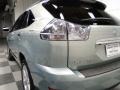 Bamboo Pearl - RX 350 AWD Photo No. 9
