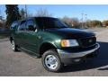 Dark Highland Green Metallic 2001 Ford F150 XLT SuperCrew 4x4 Exterior