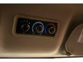 Silver Birch Metallic - Express EXT LS 3500 Passenger Van Photo No. 13