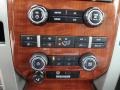 Tan Controls Photo for 2010 Ford F150 #41708903