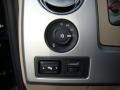 Tan Controls Photo for 2010 Ford F150 #41708982