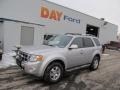 2010 Ingot Silver Metallic Ford Escape Limited V6  photo #1