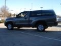 Pyrite Brown Mica - Tacoma Regular Cab Photo No. 6