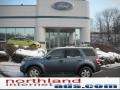 2010 Steel Blue Metallic Ford Escape XLT 4WD  photo #1