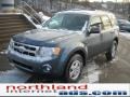 2010 Steel Blue Metallic Ford Escape XLT 4WD  photo #2