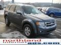 2010 Steel Blue Metallic Ford Escape XLT 4WD  photo #4