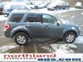 2010 Steel Blue Metallic Ford Escape XLT 4WD  photo #5