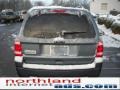 2010 Steel Blue Metallic Ford Escape XLT 4WD  photo #7