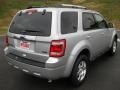 2011 Ingot Silver Metallic Ford Escape Limited V6 4WD  photo #6