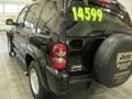 Black Clearcoat - Liberty Sport 4x4 Photo No. 9