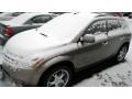 Polished Pewter Metallic - Murano SL AWD Photo No. 1