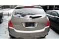 Polished Pewter Metallic - Murano SL AWD Photo No. 2
