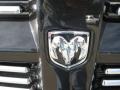 2011 Dodge Nitro Heat Badge and Logo Photo