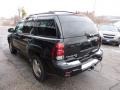 Black - TrailBlazer LS 4x4 Photo No. 8