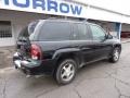 Black - TrailBlazer LS 4x4 Photo No. 10