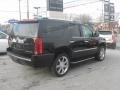 Black Raven - Escalade AWD Photo No. 6