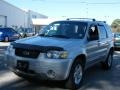 2006 Silver Metallic Ford Escape Hybrid  photo #1