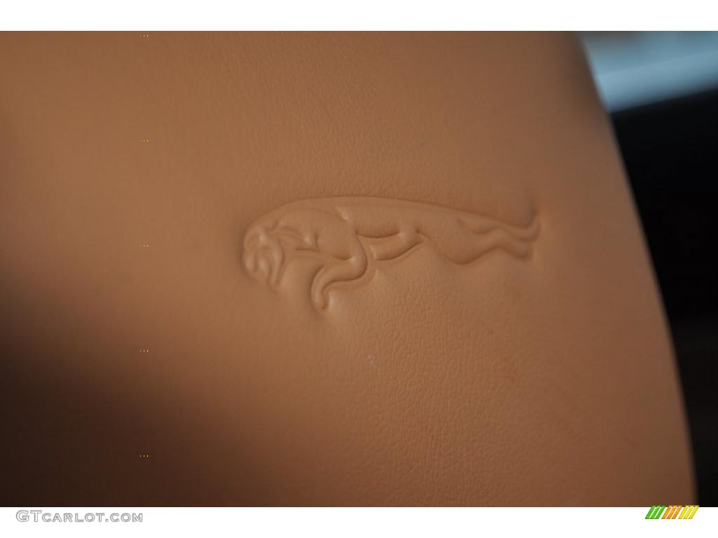 2011 Jaguar XJ XJ Supercharged Marks and Logos Photo #41769313