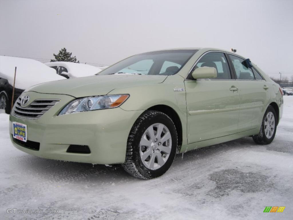 2008 Camry Hybrid - Jasper Green Pearl / Bisque photo #1