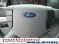 2004 Silver Birch Metallic Ford Freestar SES  photo #19