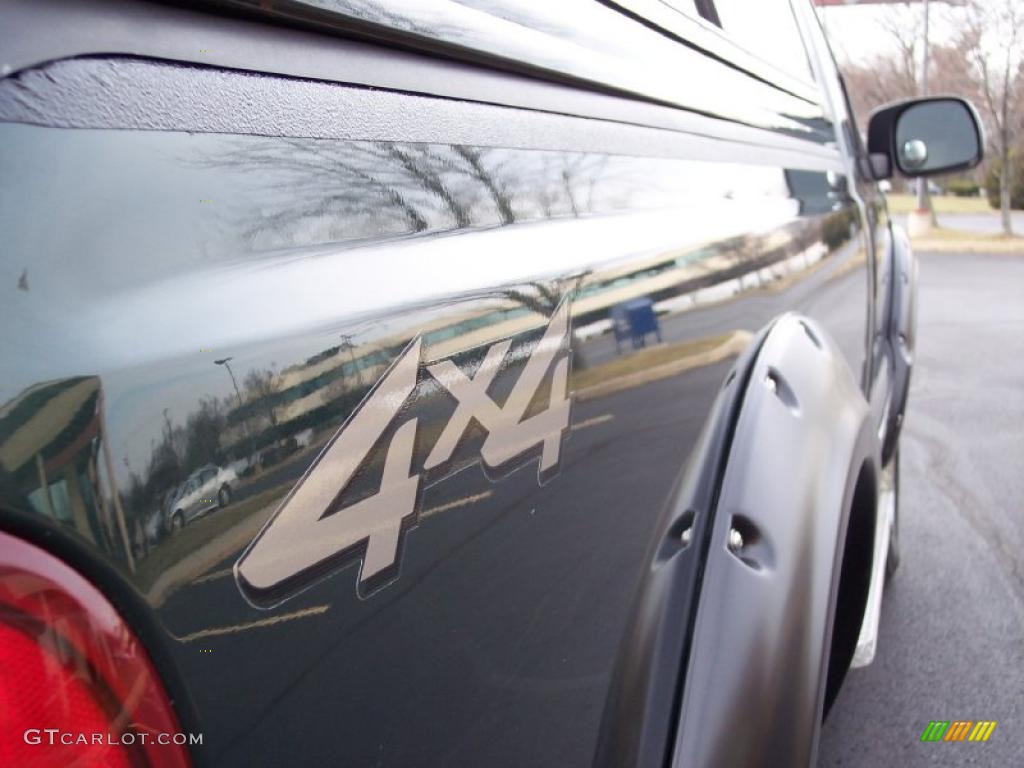 2002 F250 Super Duty XLT Regular Cab 4x4 - Dark Highland Green Metallic / Medium Parchment photo #24
