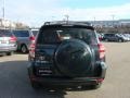 Black Forest Pearl - RAV4 4WD Photo No. 5