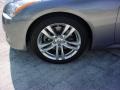 Amethyst Graphite Gray - G 37 Coupe Photo No. 11