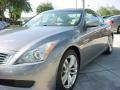 Amethyst Graphite Gray - G 37 Coupe Photo No. 12