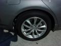 Platinum Graphite - G 37 Sedan Photo No. 4