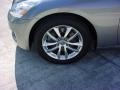 Platinum Graphite - G 37 Sedan Photo No. 11