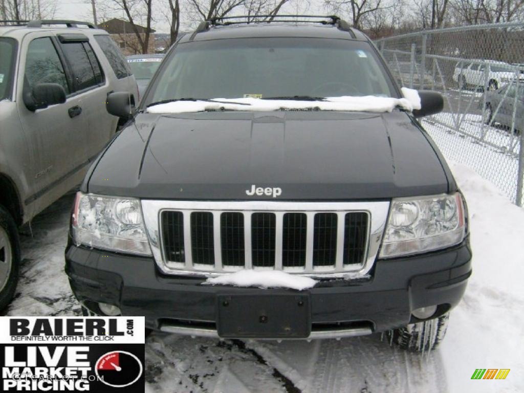 2004 Grand Cherokee Limited 4x4 - Brillant Black Crystal Pearl / Dark Slate Gray photo #2