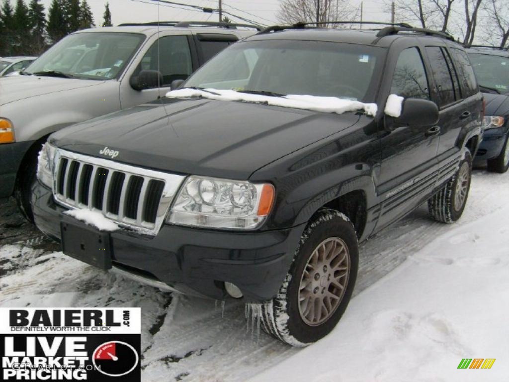 2004 Grand Cherokee Limited 4x4 - Brillant Black Crystal Pearl / Dark Slate Gray photo #3