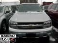 Moondust Metallic - TrailBlazer LS 4x4 Photo No. 2