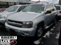 Moondust Metallic - TrailBlazer LS 4x4 Photo No. 3