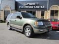 2003 Estate Green Metallic Ford Expedition Eddie Bauer 4x4  photo #1