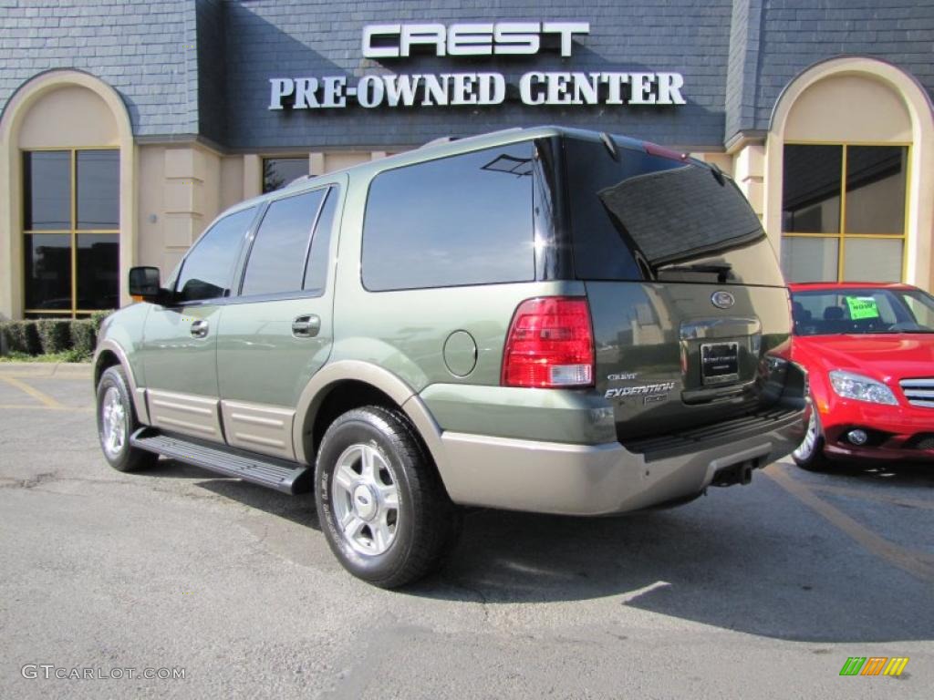 2003 Expedition Eddie Bauer 4x4 - Estate Green Metallic / Medium Parchment photo #5