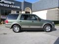 2003 Estate Green Metallic Ford Expedition Eddie Bauer 4x4  photo #7