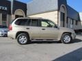 Sand Beige Metallic - Envoy SLT Photo No. 7